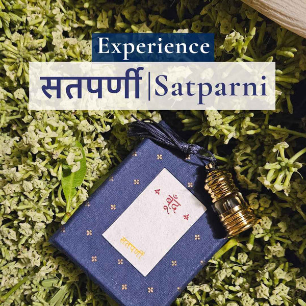Boond Fragrances सतपर्णी | Satparni (Saptaparni Tree)