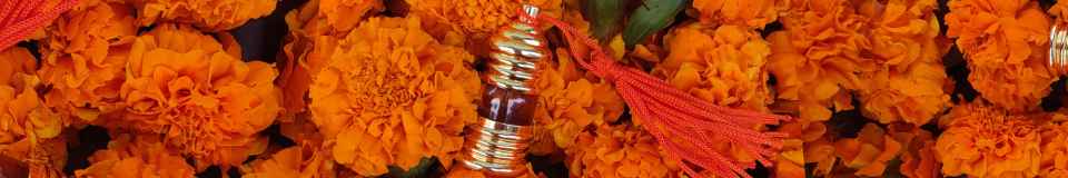 Balsamic - Boond Fragrances