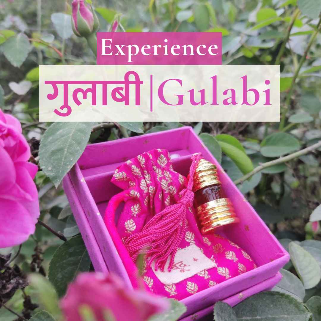 Gulabi Natural Perfume Oil (Indian Rose Attar)