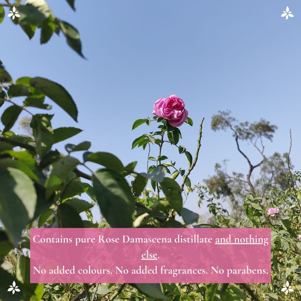 शुद्ध गुलाब जल | Pure Rose Water | 100% Natural Gulab Jal
