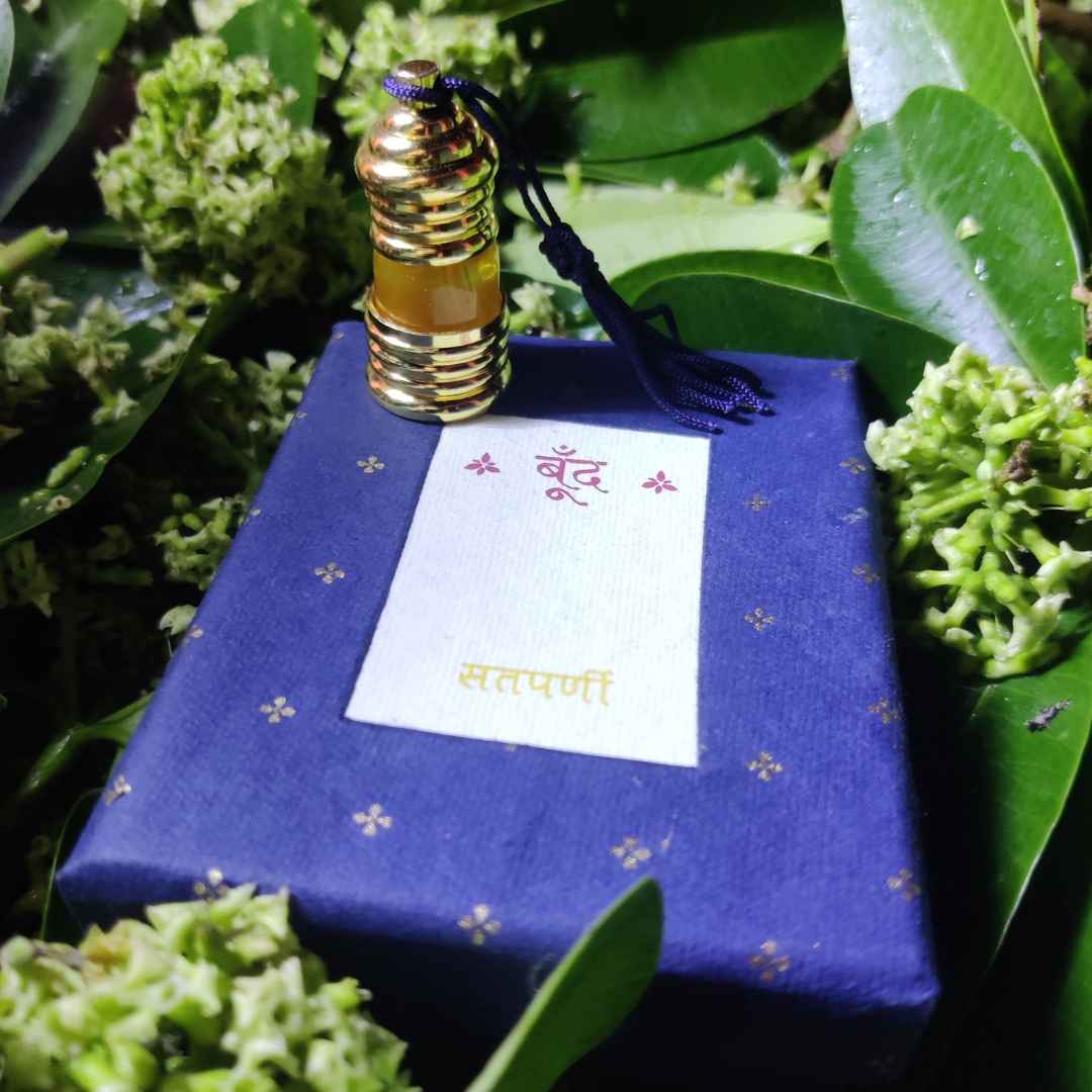 Satparni Natural Perfume Oil (Saptaparni Tree Attar)