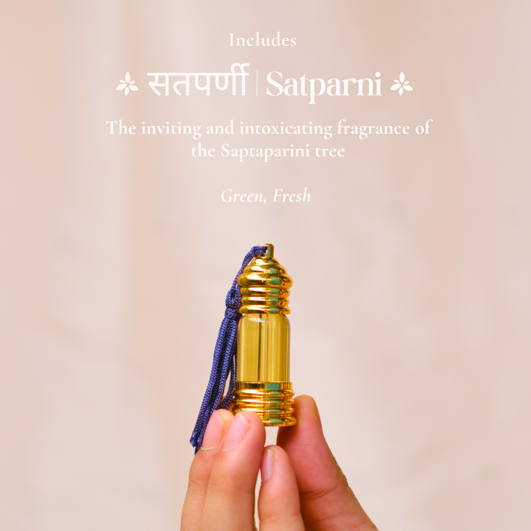 The Signature Fragrance Set of 12 Natural Perfume Oils