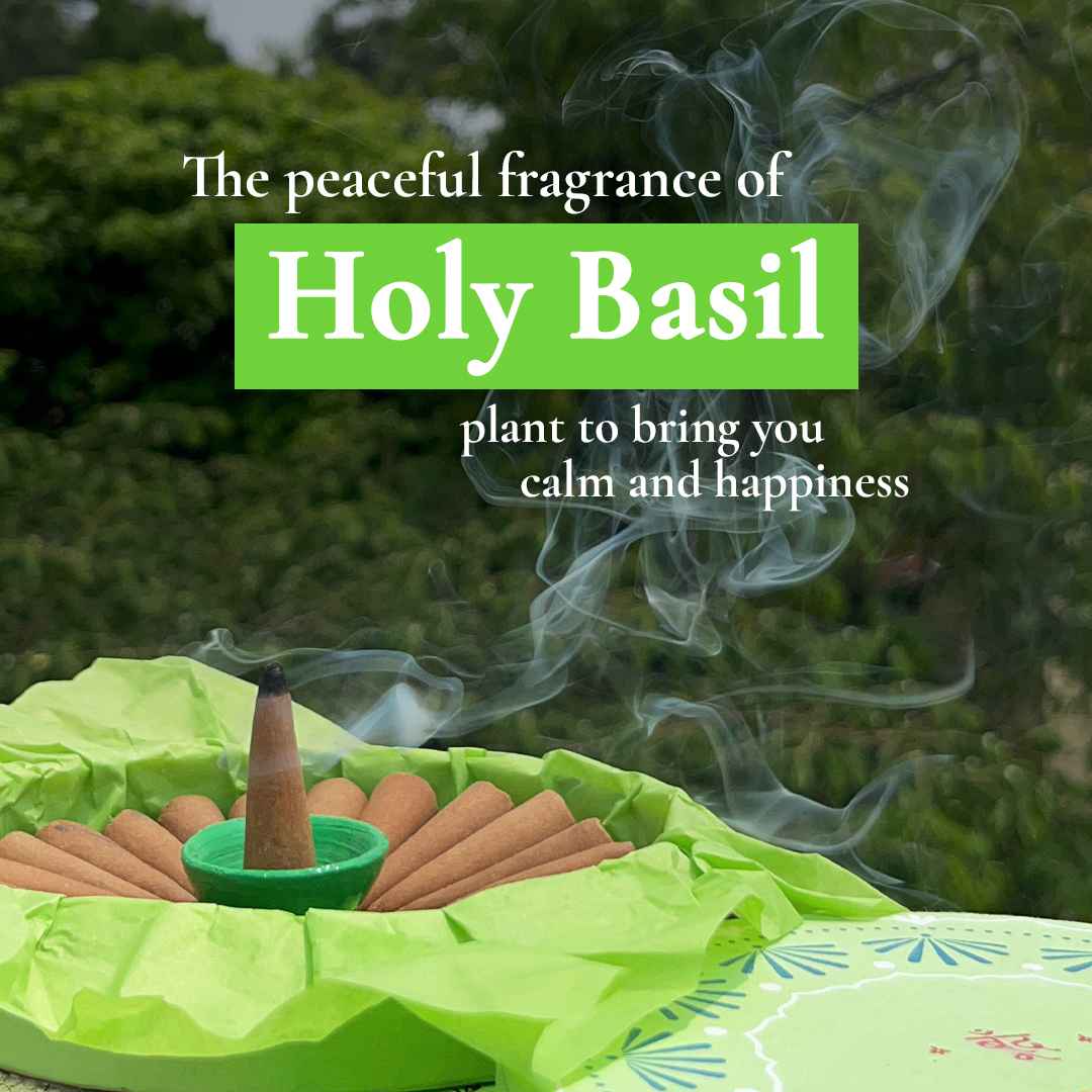 Earthy Incense Cones Set of 3