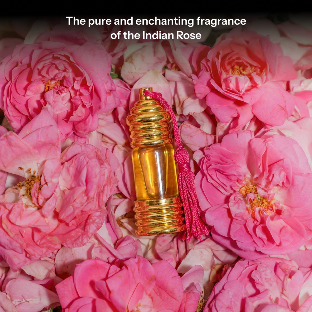 गुलाबी | Gulabi Natural Perfume Oil (Indian Rose Attar)