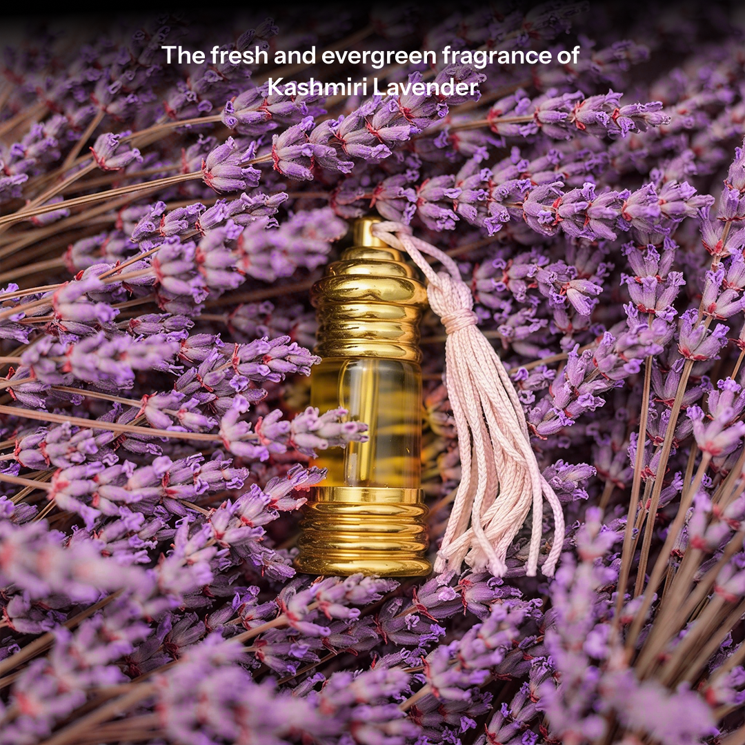 लाव्य | Lavya Natural Perfume Oil (Lavendar Attar)