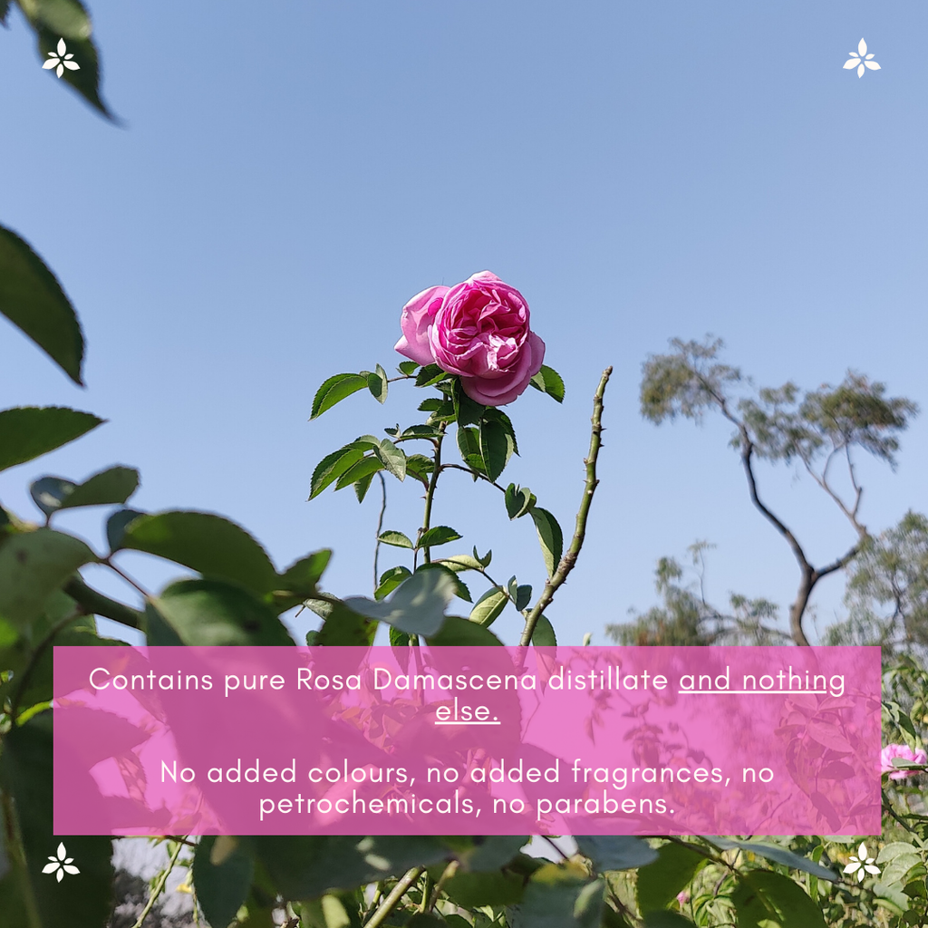 Boond Fragrances शुद्ध गुलाब जल | Pure Rose Water | 100% Natural Gulab Jal