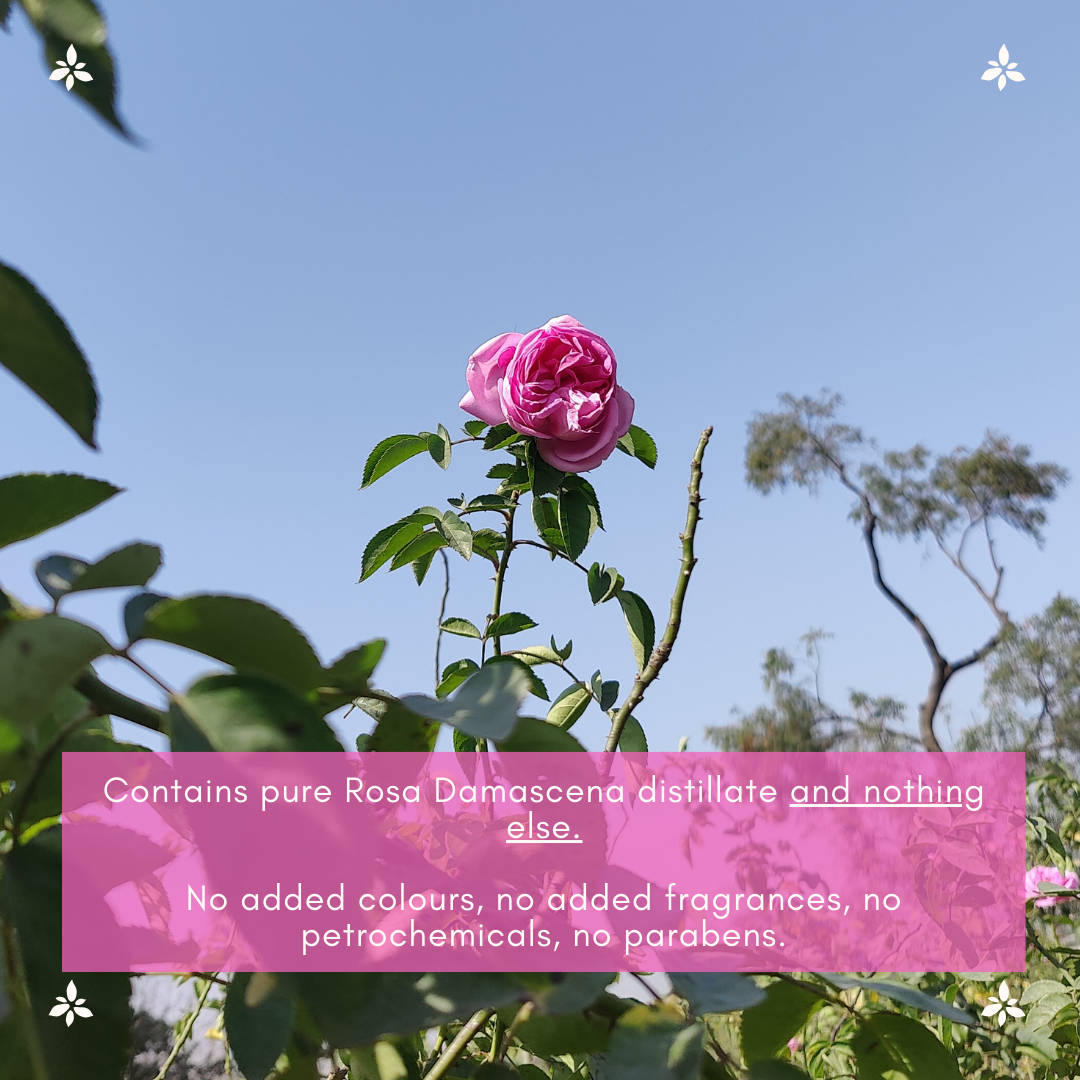 Boond Fragrances शुद्ध गुलाब जल | Pure Rose Water | 100% Natural Gulab Jal