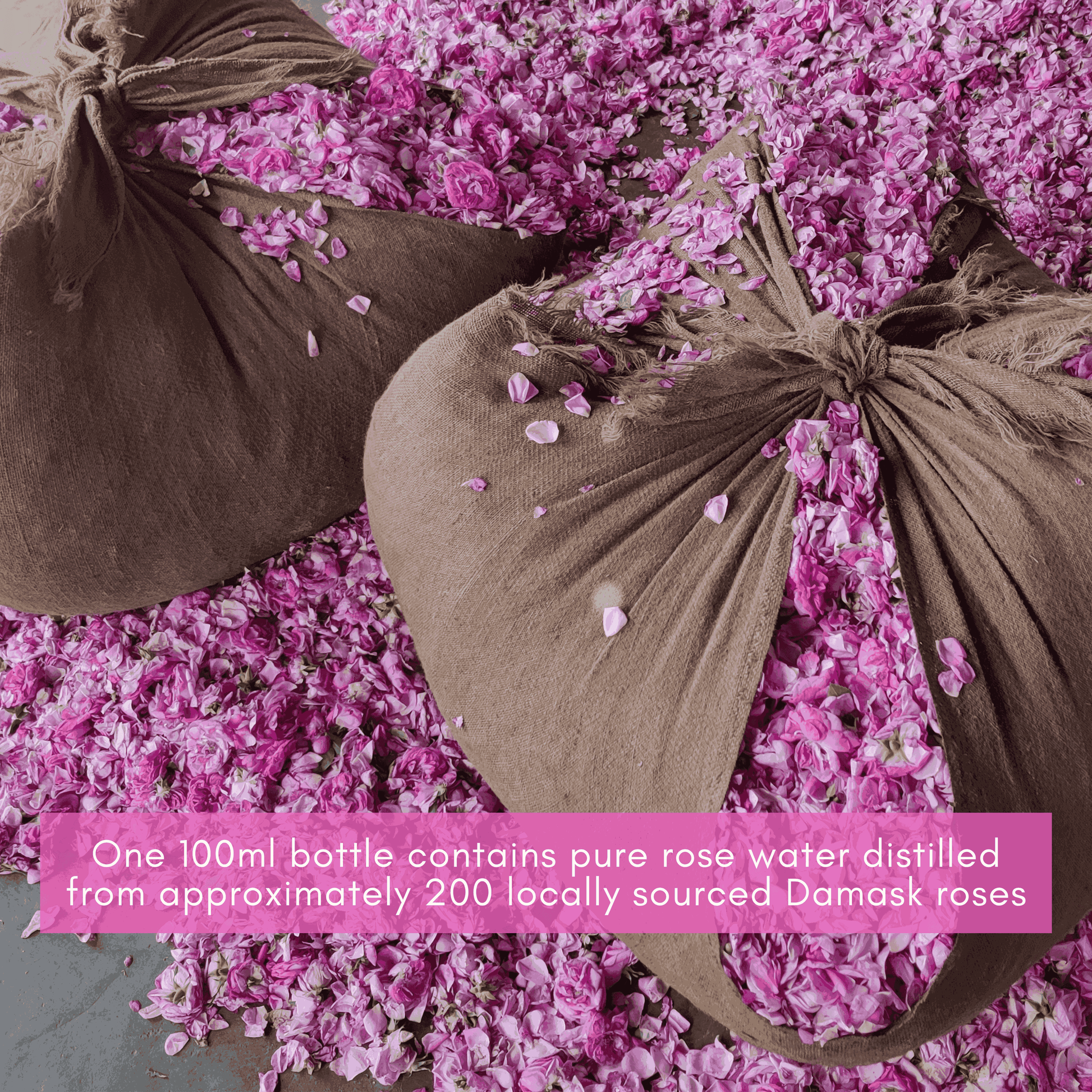 Boond Fragrances शुद्ध गुलाब जल | Pure Rose Water