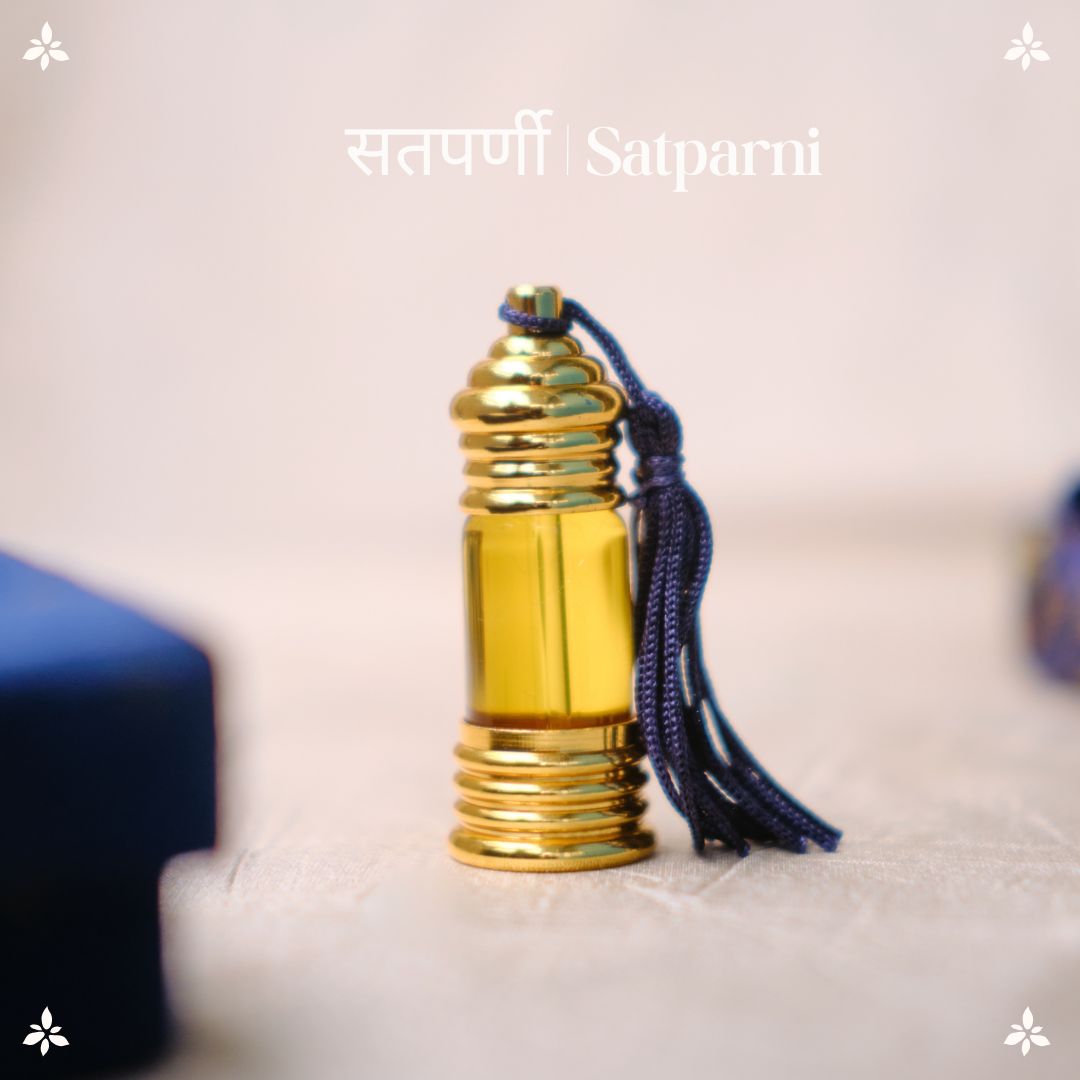 सतपर्णी | Satparni Natural Perfume Oil (Saptaparni Tree Attar)