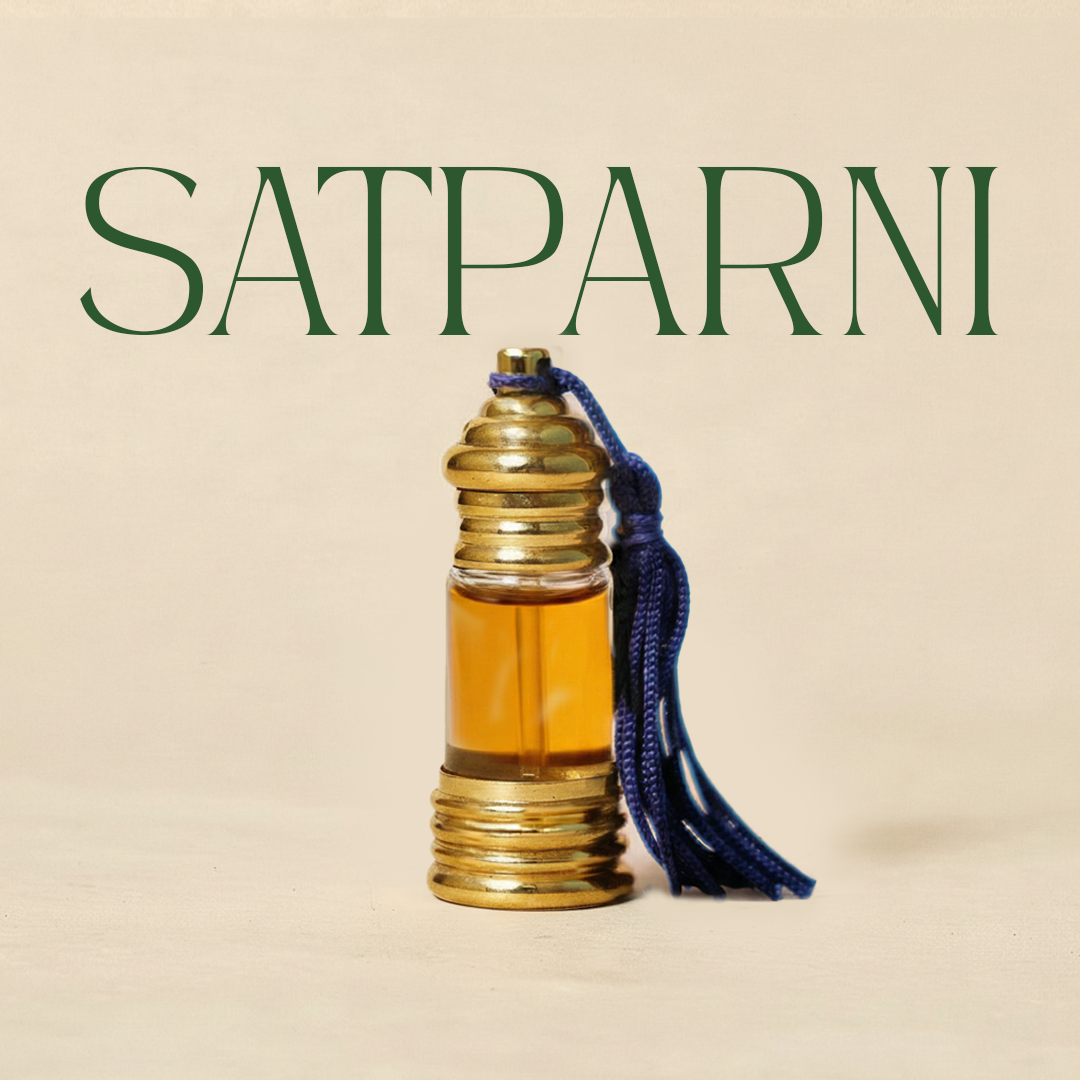 सतपर्णी | Satparni Natural Perfume Oil (Saptaparni Tree Attar)