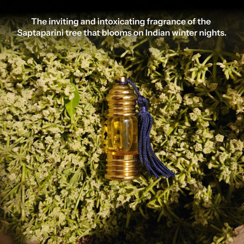 सतपर्णी | Satparni Natural Perfume Oil (Saptaparni Tree Attar)