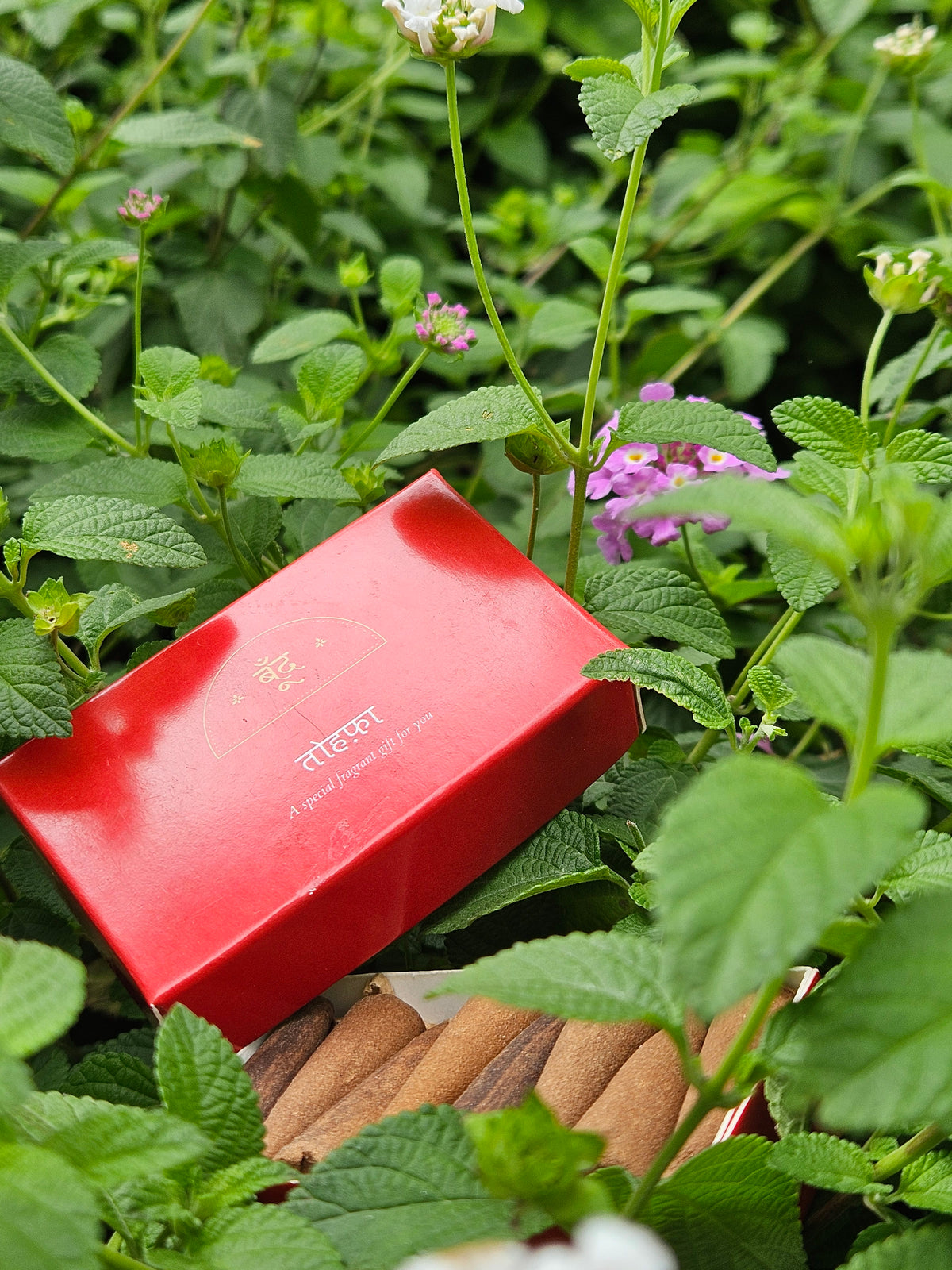 TOHFA | Incense Cone Sampler