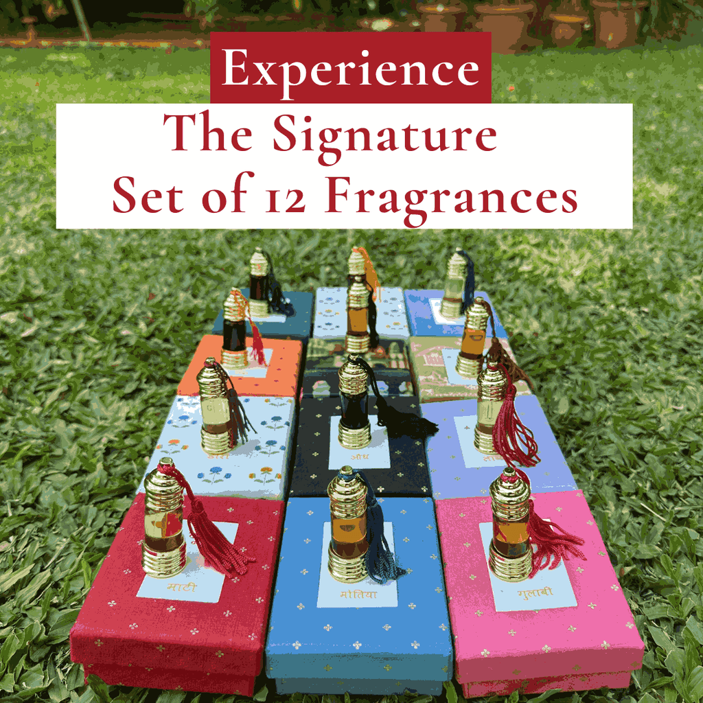 The Signature Fragrance Set of 12 Natural Perfume Oils
