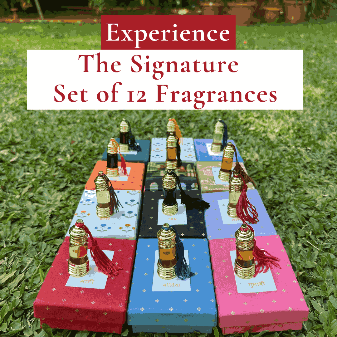 The Signature Fragrance Set of 12 Natural Perfume Oils