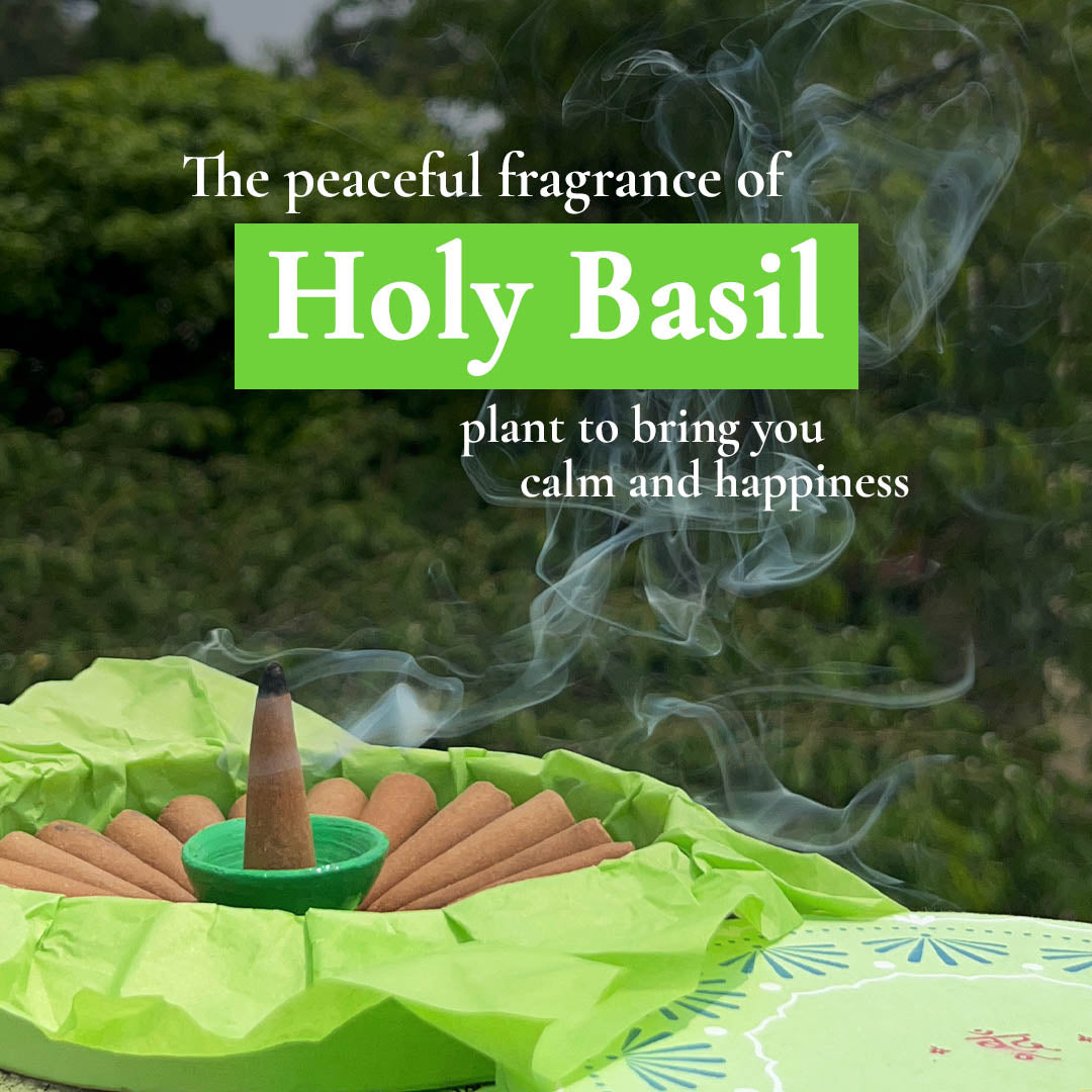 Pure Holy Basil Incense Cones