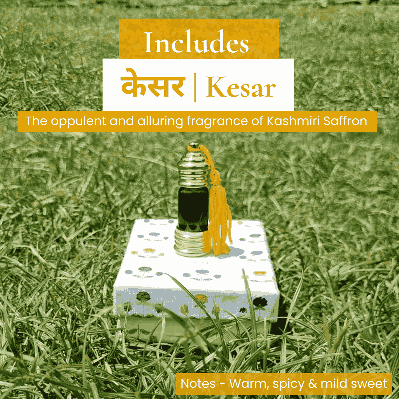 The Signature Fragrance Set of 12 Natural Perfume Oils