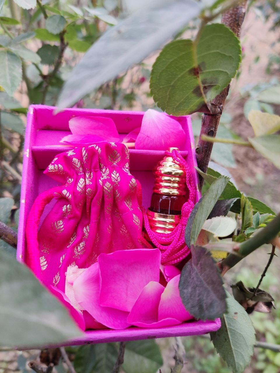 Gulabi (Indian Rose)